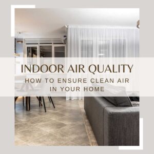 Indoor Air Quality Blog Post